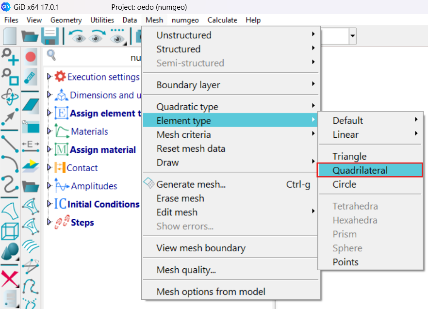 Mesh generation and numerical model