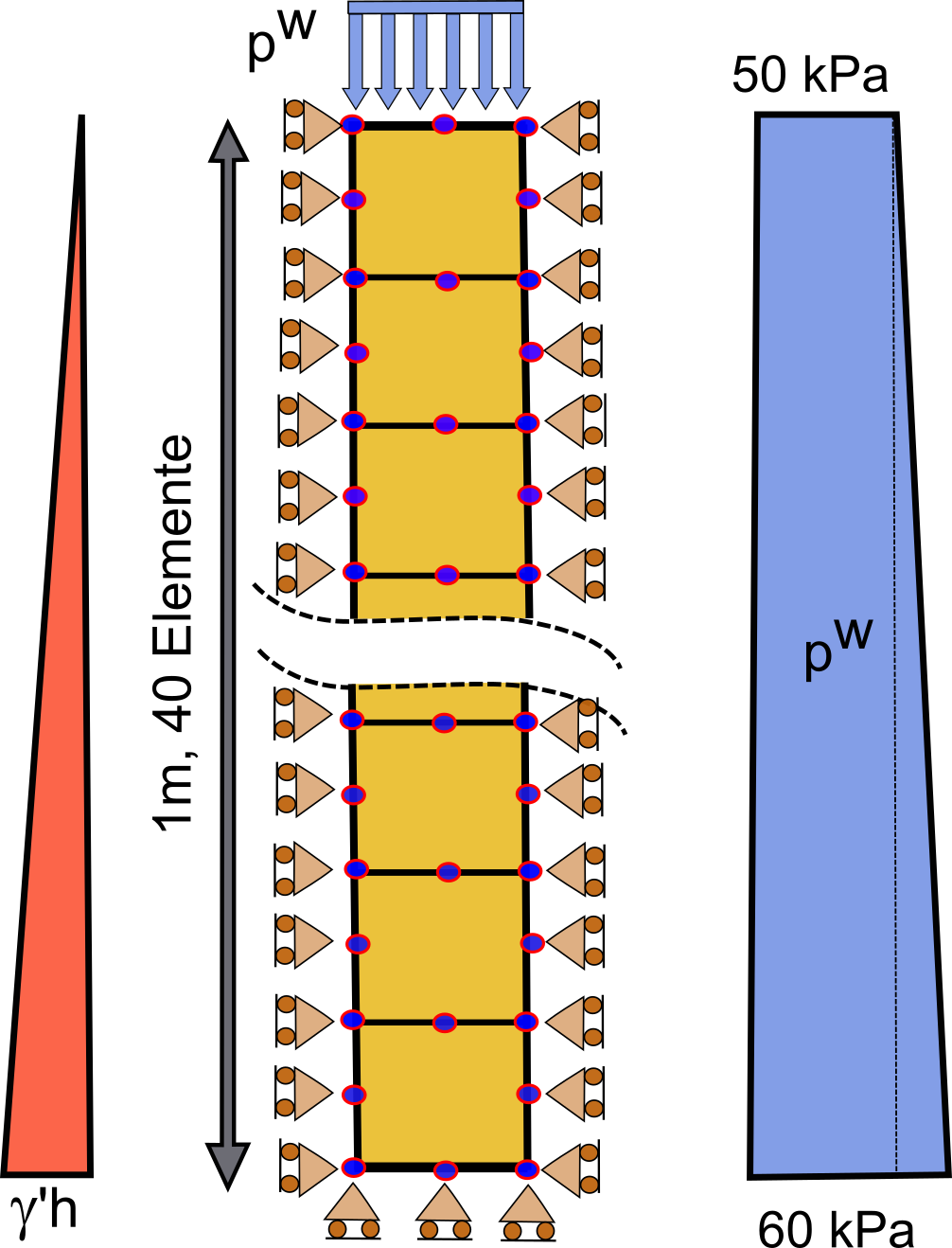 Finite-element model and boundary conditions for Terzaghi consolidation